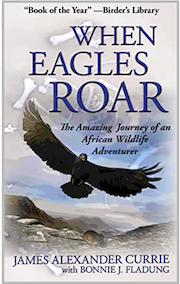 When Eagles Roar